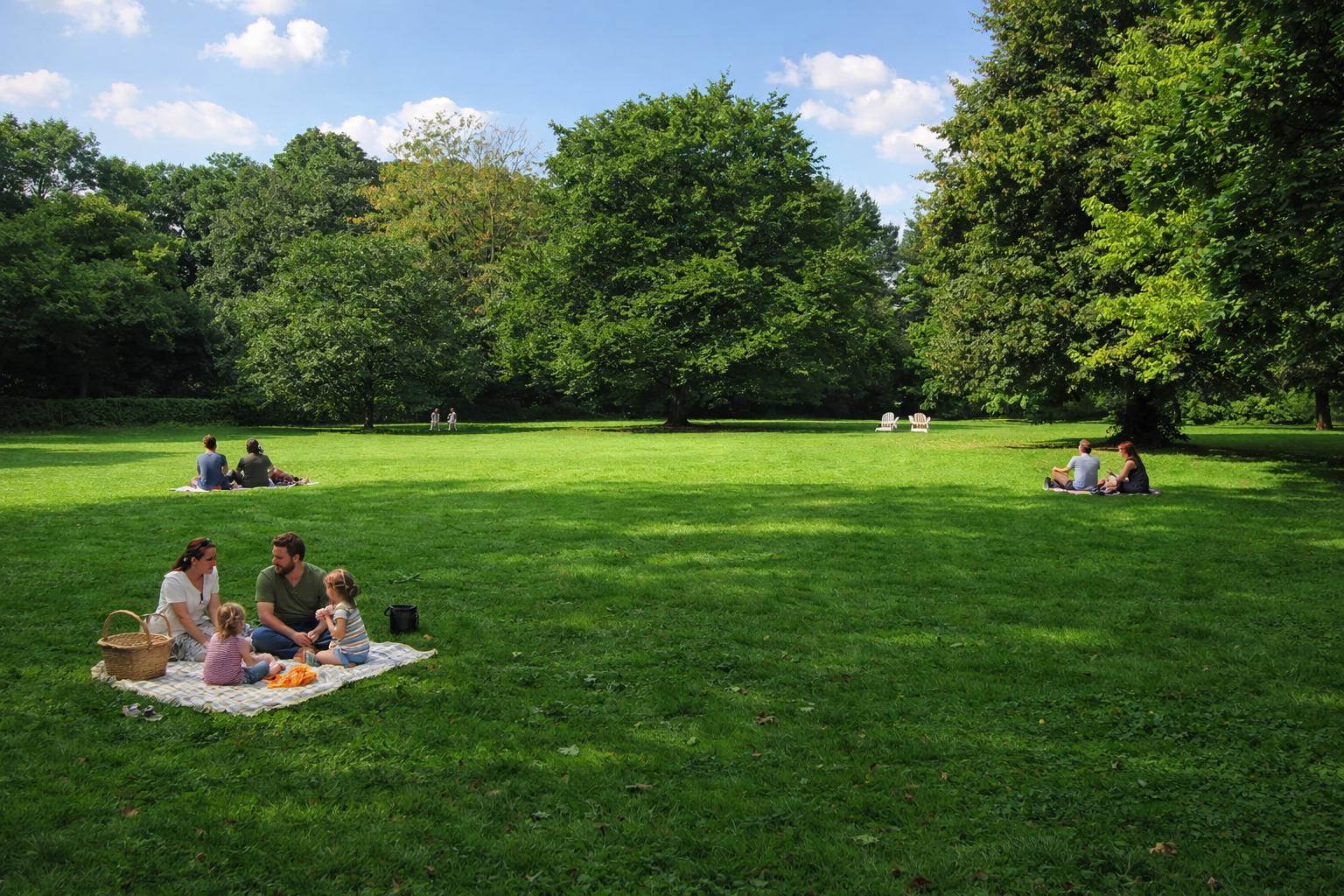 Blohms Park Hamburg-Horn im Sommer – weitläufige Wiese mit altem Baumbestand im Nachmittagslicht